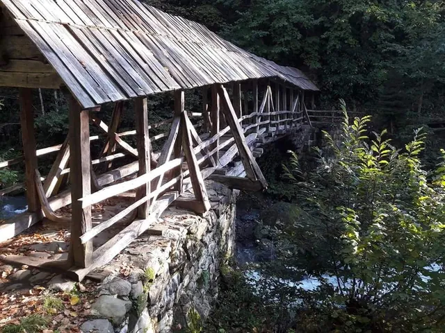 Khabelashvili wooden arch bridge