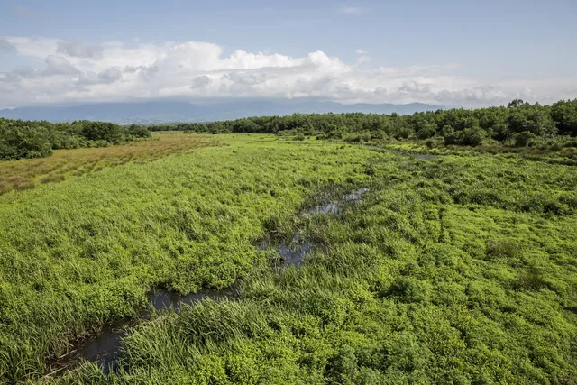 Kobuleti Protected Area Ispani