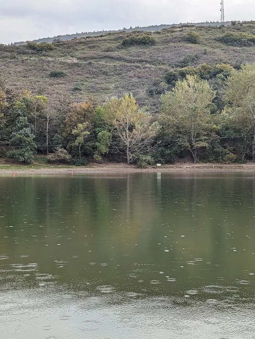 Turtle Lake