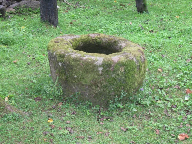 ზენდიდის ციხე