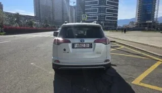 Toyota RAV4 Hybrid 2018 — ფოტო 6