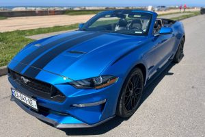 ford mustang, cat rental in batumi