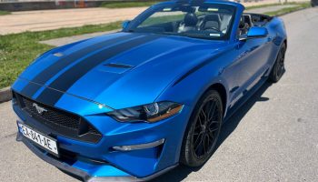 ford mustang, cat rental in batumi